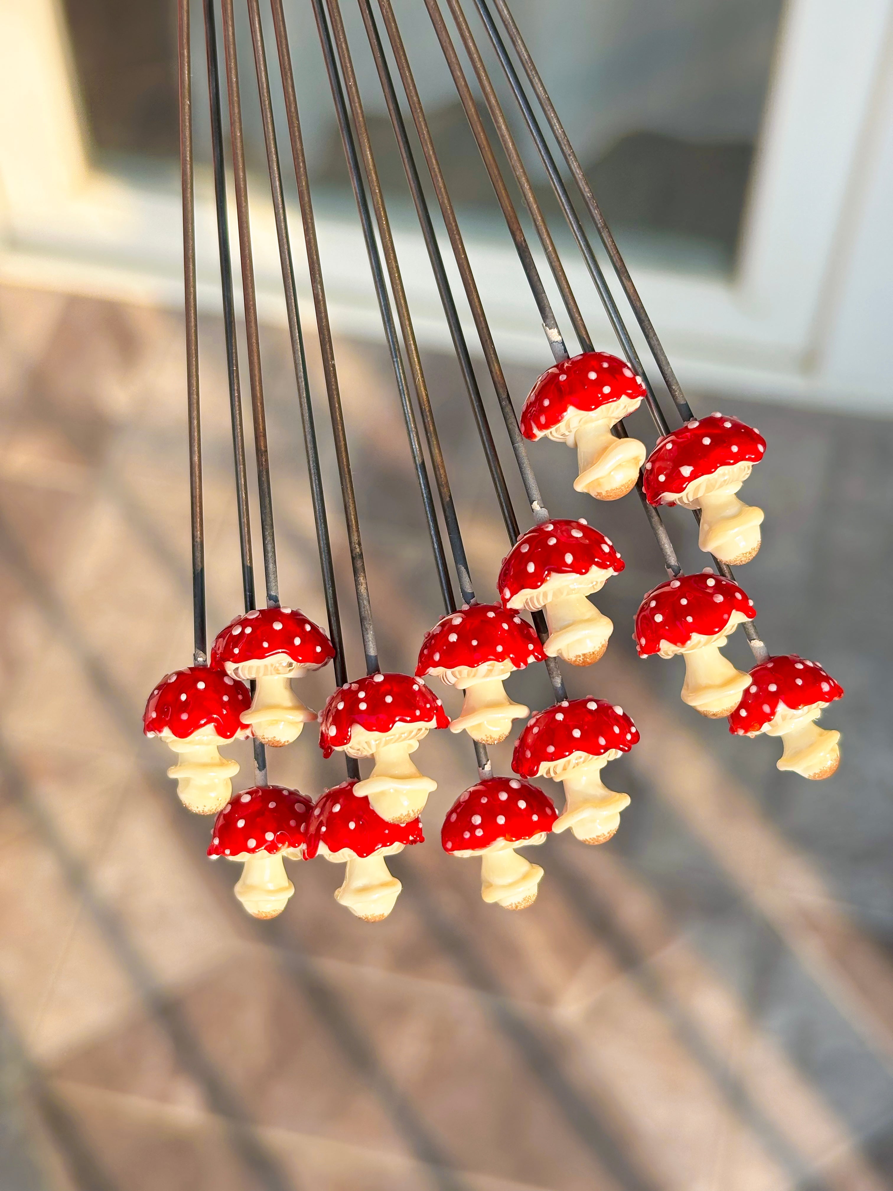 Lucky Mushroom