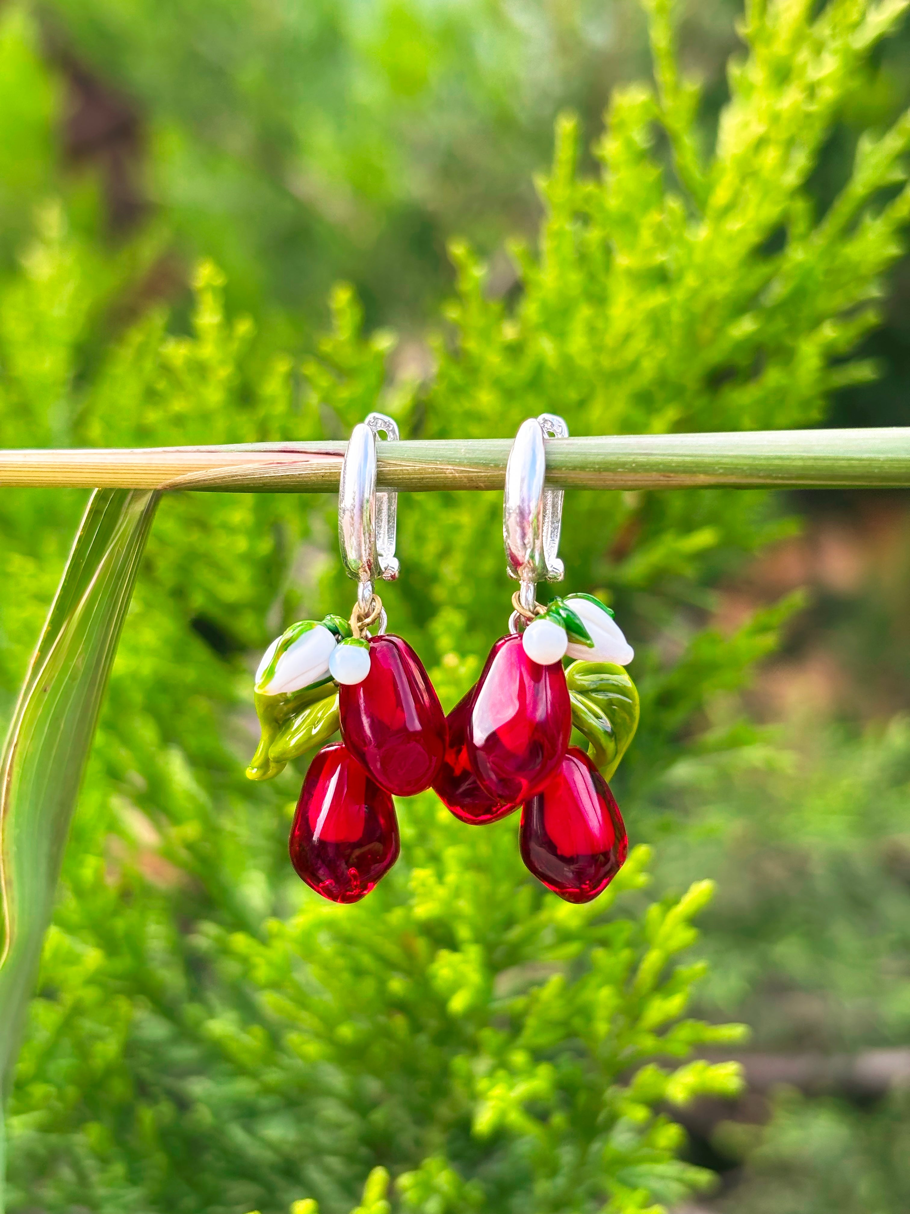 Pomegranate Seeds