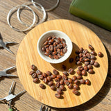 Lucky Coffee Bean Earrings