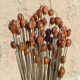 Lucky Coffee Bean Earrings