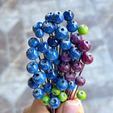 Lucky Blueberry Earrings