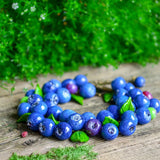 Blueberries Bracelet