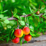 Peach Earrings, Fruit Jewelry, Cute Earrings, Nature earrings, Earrings For Women, Valentine's Day Gift, Mother Gifts, Gift For Her