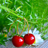 Cherry Earrings, Gold Plated, Fruit Jewelry, Murano Glass