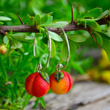 Peach Earrings, Fruit Earrings, Hoop Earrings, Cute Earrings, Earrings For Women, Statement Earrings, Gift for Her, Valentine's Day