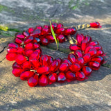 Pomegranate Seed Bracelet