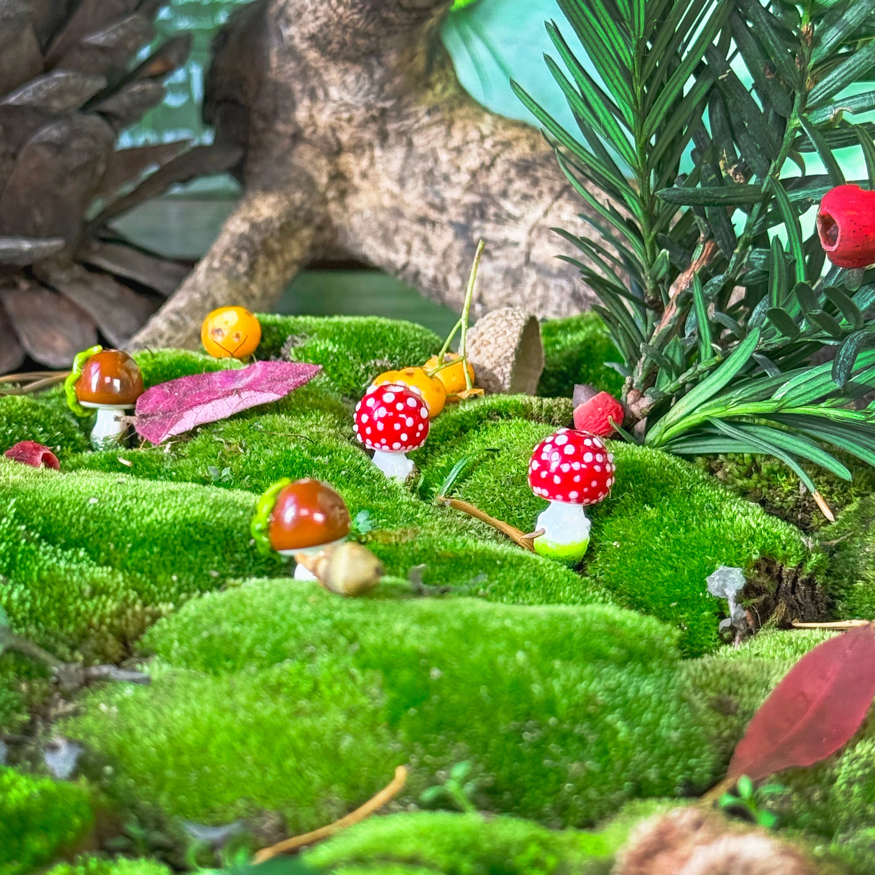 Lucky Forest Collection 🍄🐞🍃🍁🍯🍄‍🟫💛🐌