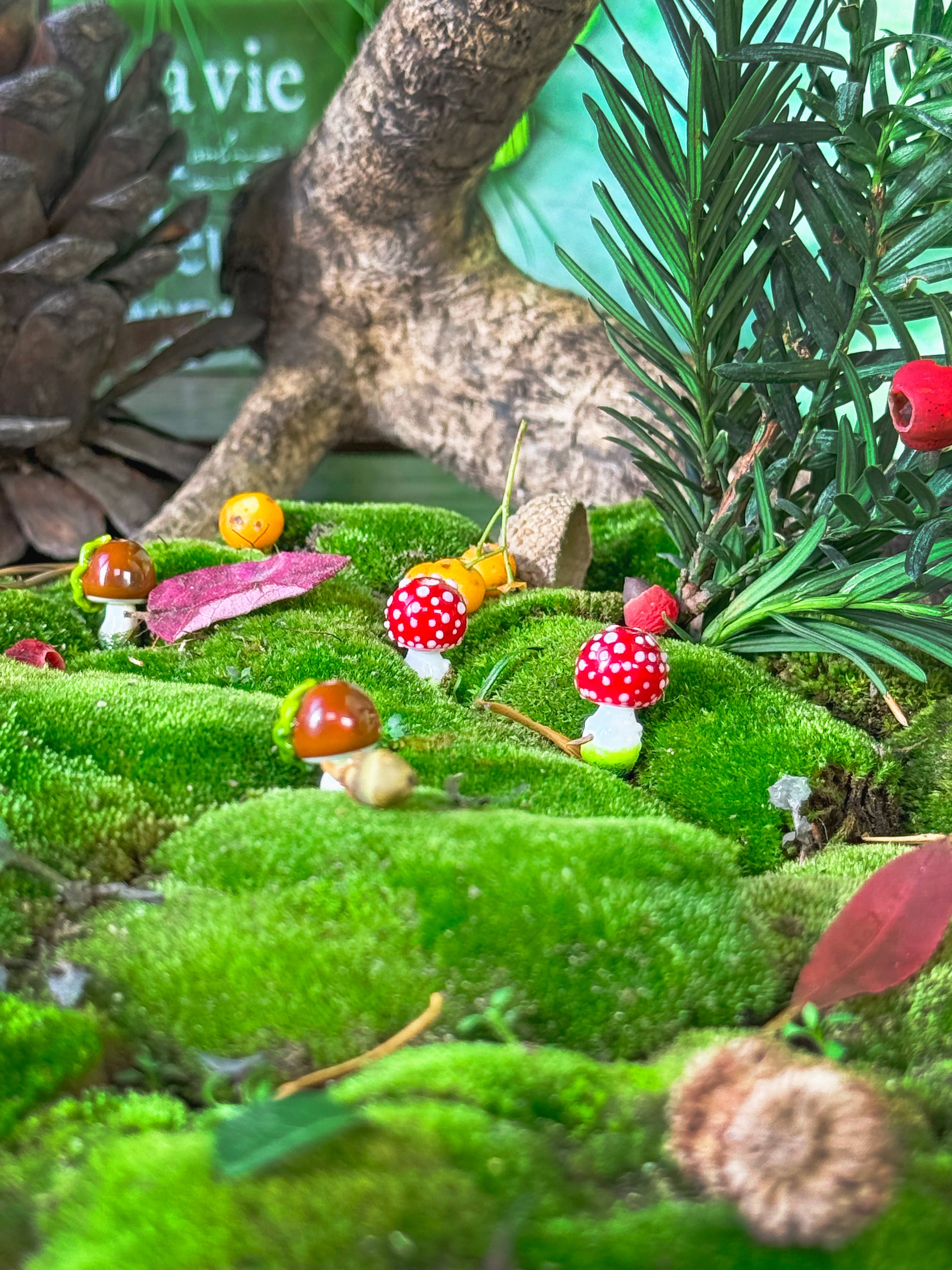 Lucky Forest Collection 🍄🐞🍃🍁🍯🍄‍🟫💛🐌