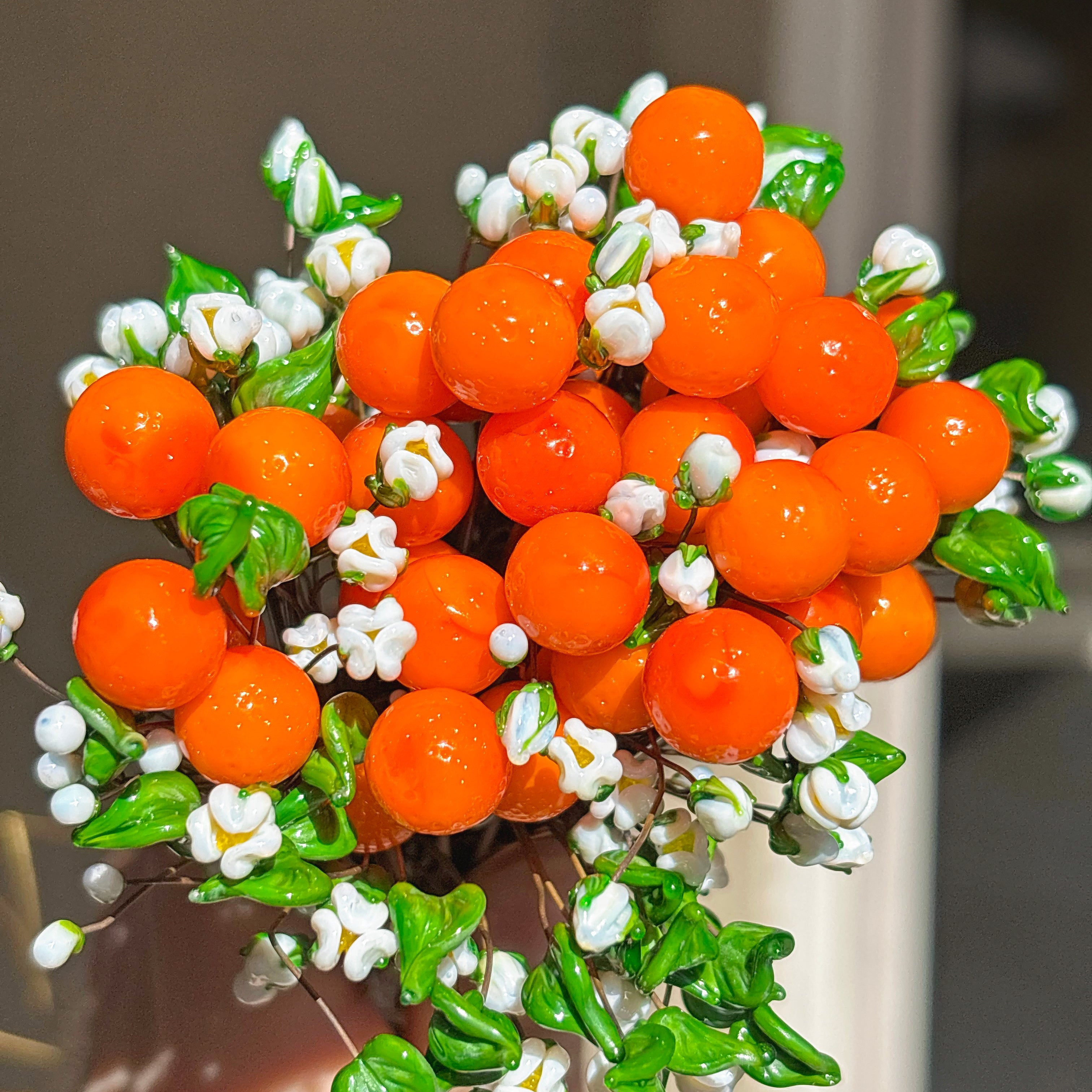 Oranges🍊✨☀️🌸💫