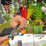 Lucky Boletus Necklace