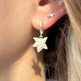 Lucky Starfish Earrings