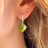 Lucky Chestnut Earrings