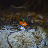 Tiny Witch Dragon: Patch