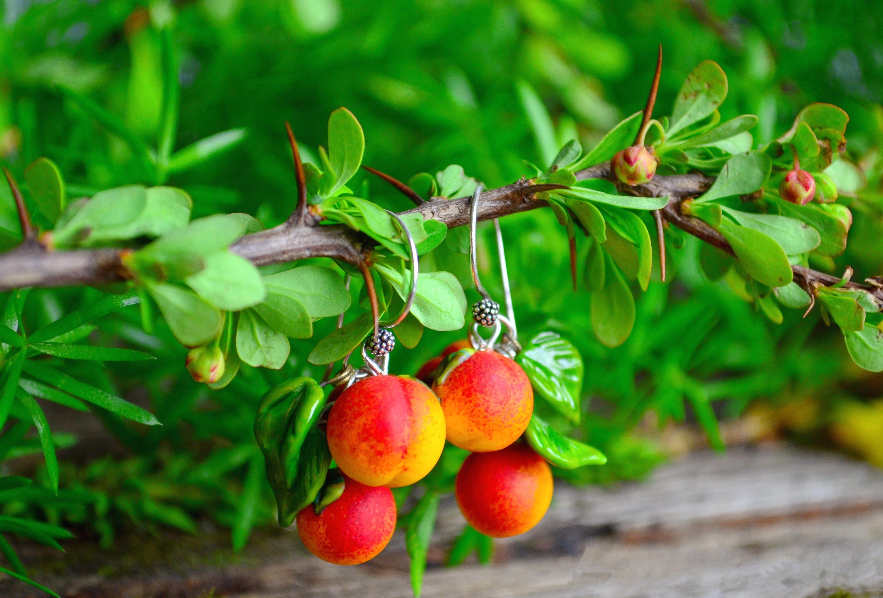 Peach Earrings