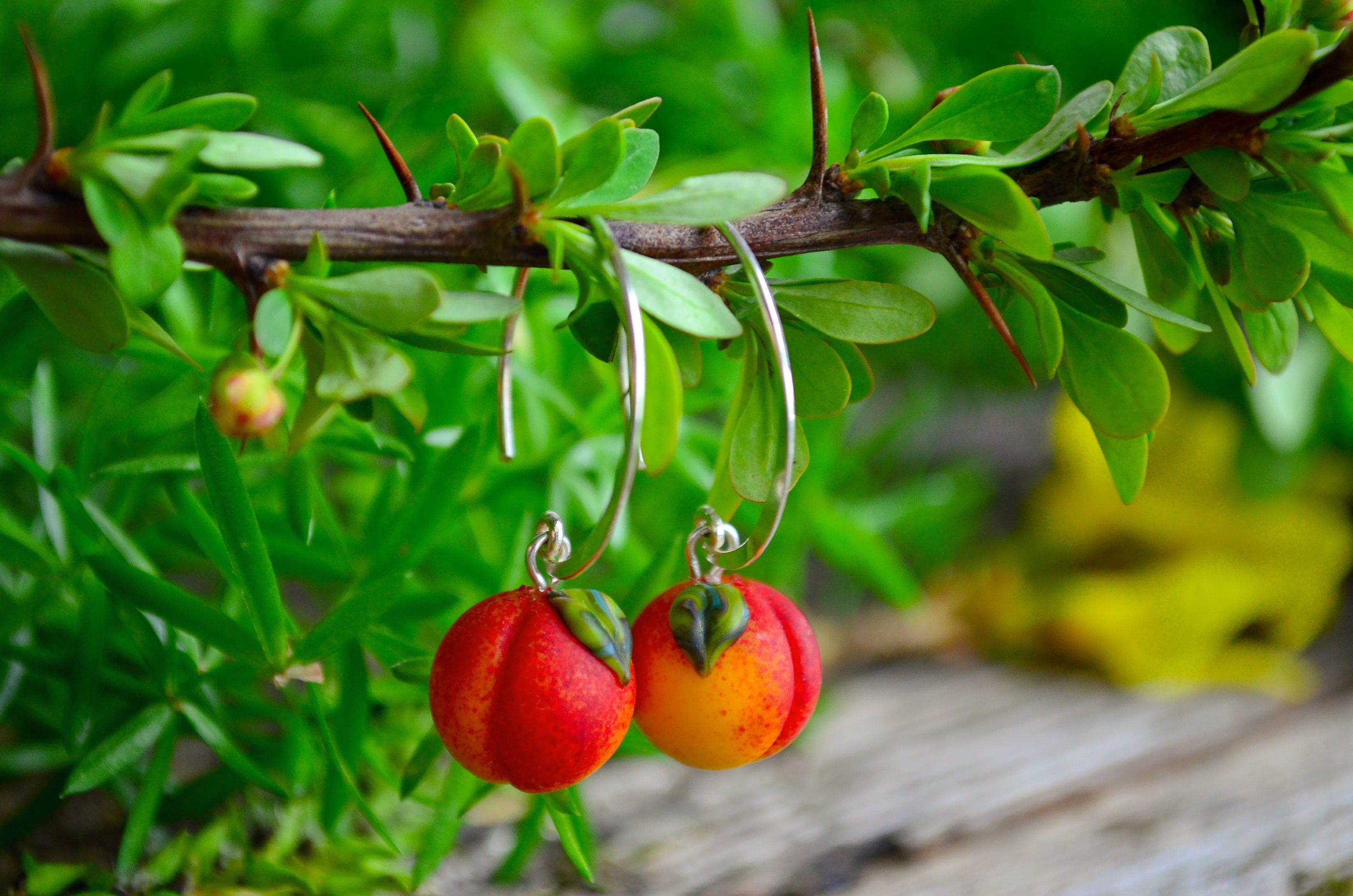 Peach Hoop Earrings