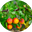 LuckyLapki Jewelry logo